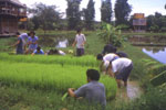 Workers and students at The Land